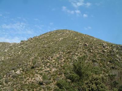 DSCF0082.JPG
